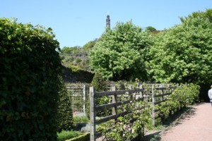 Nelson Monument from Dunbar's Close Garden
