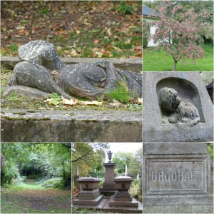 Searching for ancestors at Warriston Cemetery