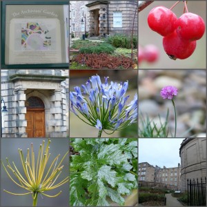 Archivists Garden Edinburgh