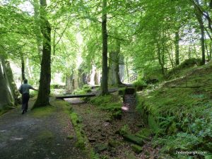 woodland walk rosslyn